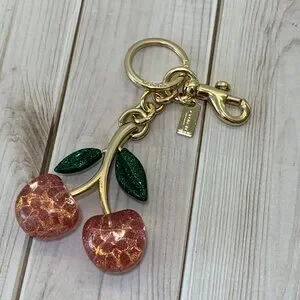 Coach | Accessories | Coach 88547 Signature Pink Cherry Key Chain
